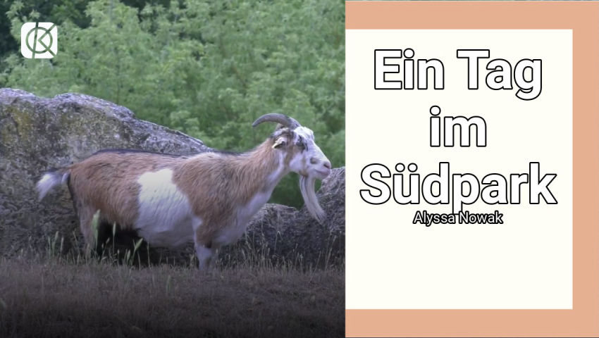 Ein Tag im Südpark