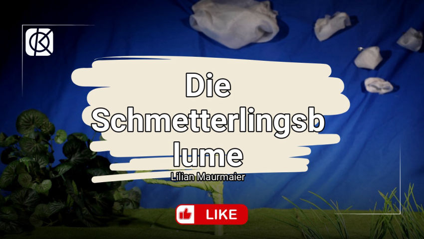 Die Schmetterlingsblume